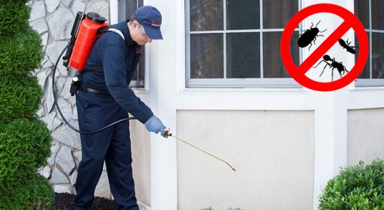 Bademler Böcek İlaçlama böcek ilaçlama ve haşere kontrolü — ilaclama-tr.com